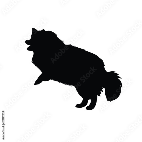 A black dog with a fluffy tail. It is standing on its hind legs. The dog has a black nose