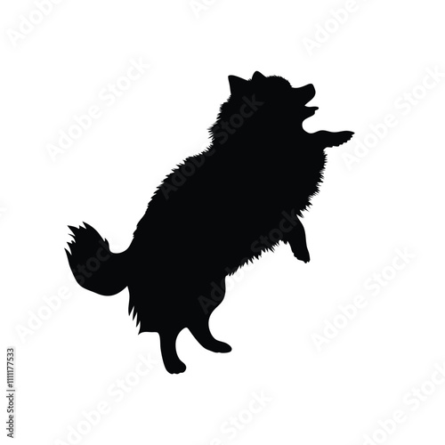 A black dog with a fluffy tail. It is standing on its hind legs. The dog has a black nose