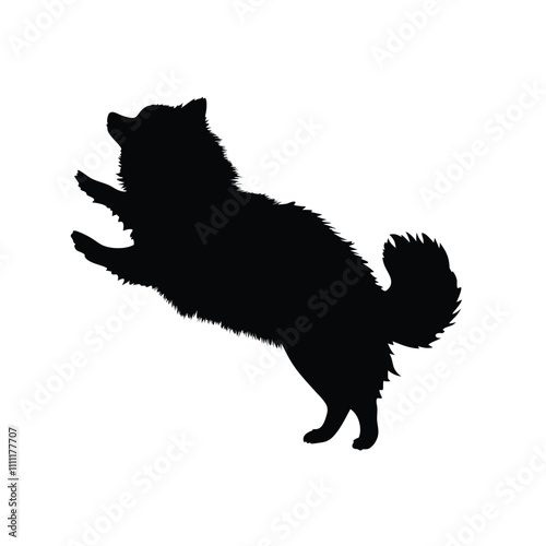 A black dog with a fluffy tail. It is standing on its hind legs. The dog has a black nose