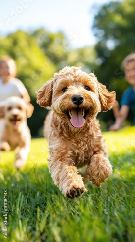 A dog with golden fur is energetically running on a green grass field, expressing happiness and vitality. The image captures the exuberant spirit of a playful pet.