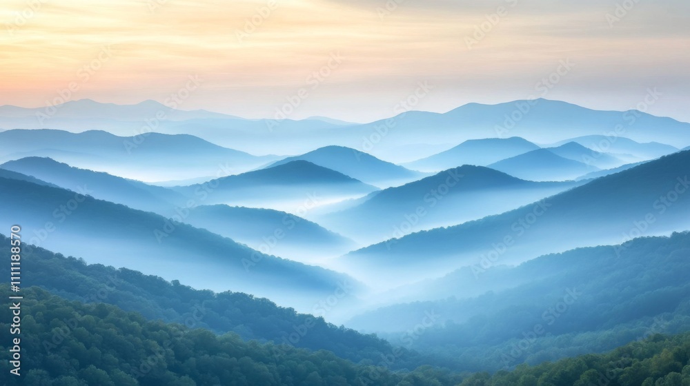 Naklejka premium Misty Blue Mountains at Dawn