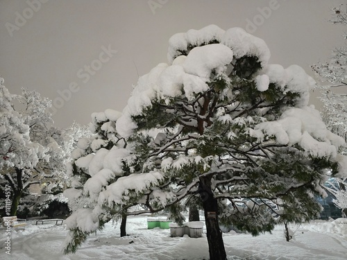 한국 겨울 폭설 