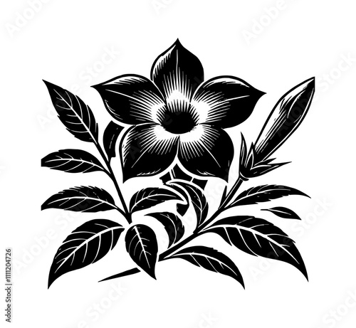 jasmine flower engraving black and white outline