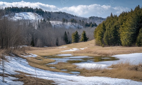 Late winter landscape transitioning to spring in Bromont, showcasing melting snow and budding flora. photo