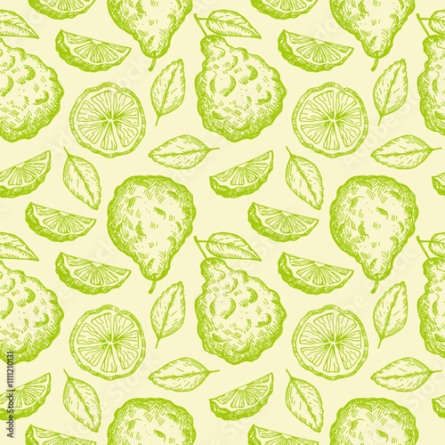 Bergamot engraved repeating background. Hand drawn seamless vector pattern with citrus plants. Vintage texture label with Seville orange bergamot tree fruit, leaf. Food ingredient, essential oil, herb