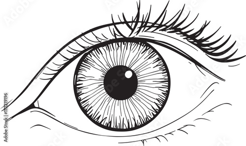 Human Eye Linear Drawing Sketched Art Black and White Line Vector Illustration 