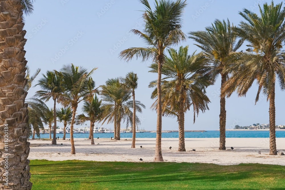 Wonderful seascape to beautiful beach view with palm trees and city skyline on background in United Arab Emirates. Wonderful seascape to beautiful beach view with palm trees and city skyline on background in United Arab Emirates.