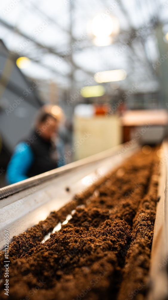 flower soil - type of soil for home flowers