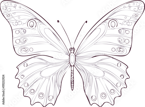 Butterfly outline with drawn details collection