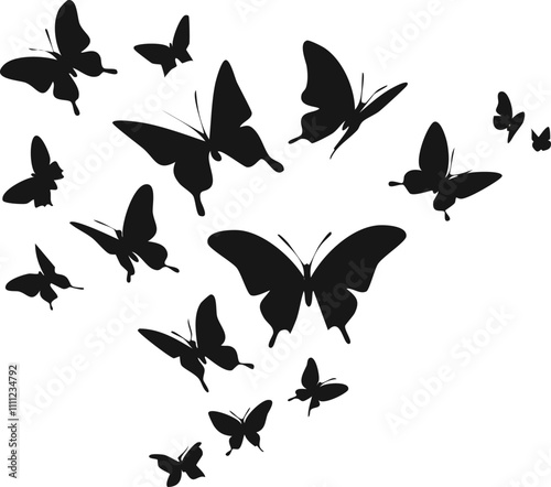 Hand drawn butterfly outline pack2.eps, Flying butterflies silhouette black set isolated on white background Set of butterfly in flight photo