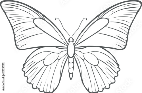 Hand drawn butterfly outline pack8.eps, Hand drawn butterfly outline pack