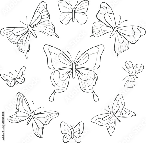 Hand drawn butterfly outline pack6.eps, Hand drawn butterfly outline pack photo