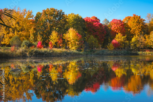 Montreal,Canada : Autumn scenes from Montreal, Canada. The colors in the city's parks are vibrant during the fall season.
