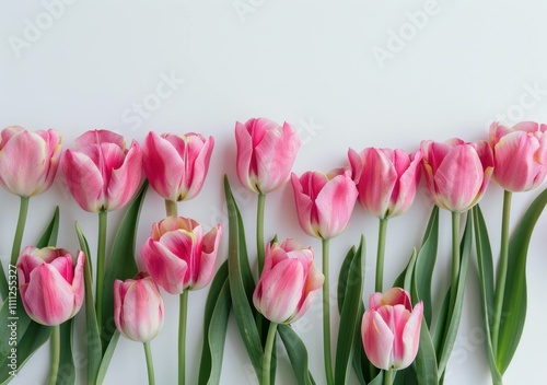 Beautiful arrangement of pink tulips with green leaves on a white background, symbolizing spring's freshness and beauty in floral design.