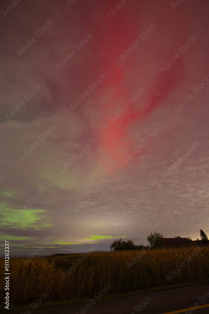 Fototapeta premium Champs et aurores boréales, nuit, vertical