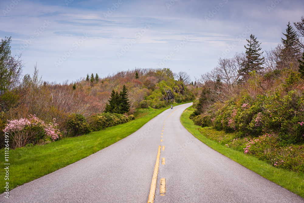 Fototapeta premium Motorcyle - Blue Ridge Parkway