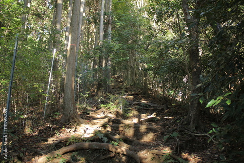 神奈川県 登山道