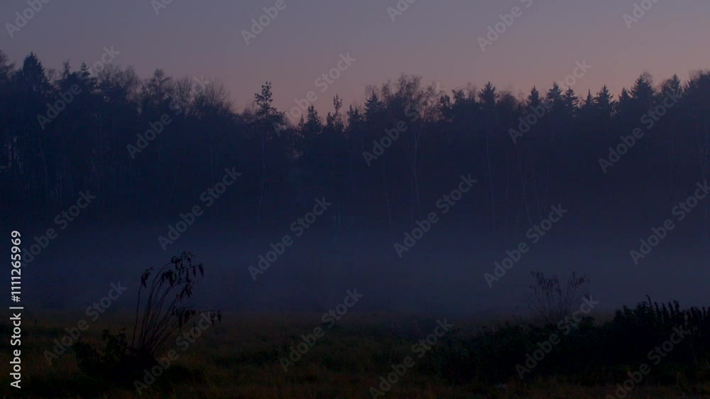 A misty forest scene unfolding at dusk, featuring a dark silhouette contrasting against the fog