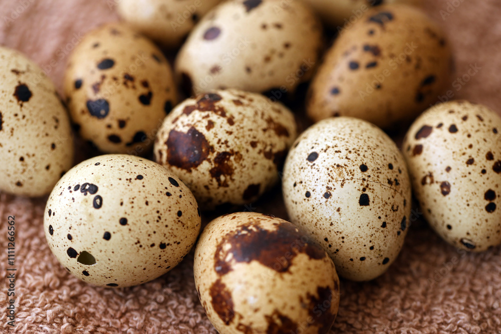 Few amount of quail eggs in small pile on brown towel background Few amount of quail eggs in small pile on brown towel background