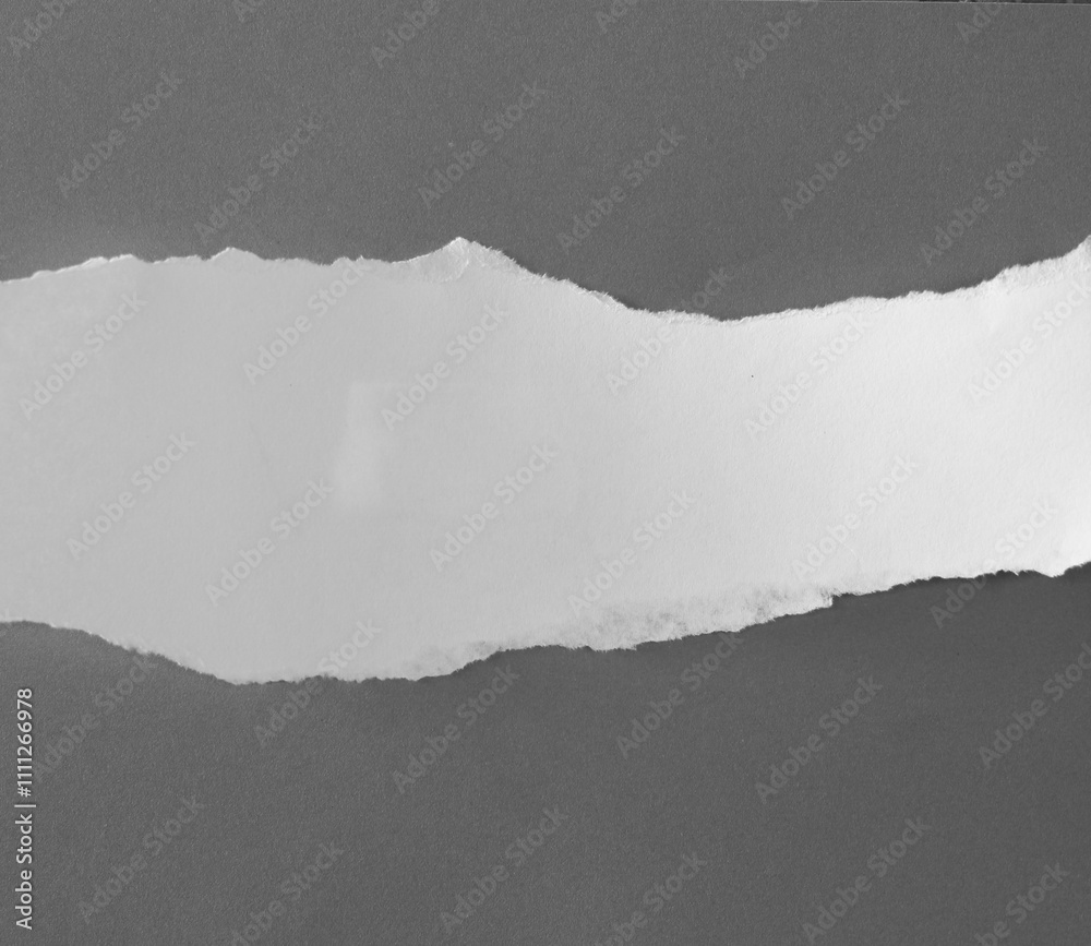 pieces of torn paper texture background, copy space for your text. pieces of torn paper texture background, copy space for your text.