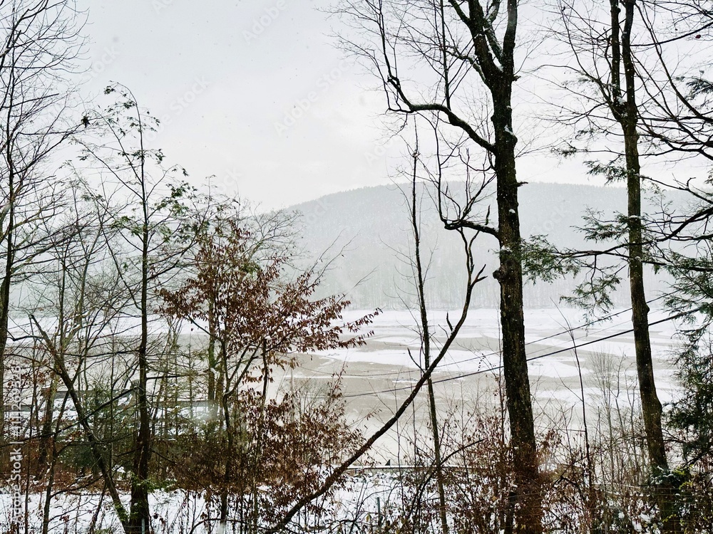 Obraz premium Outdoor winter wonderland in Catskill Mountains. White fresh snow blanket backdrop with frozen water. Gorgeous cold weather scene during November snowstorm. Hike, ski, sled, tube. Enjoy nature!