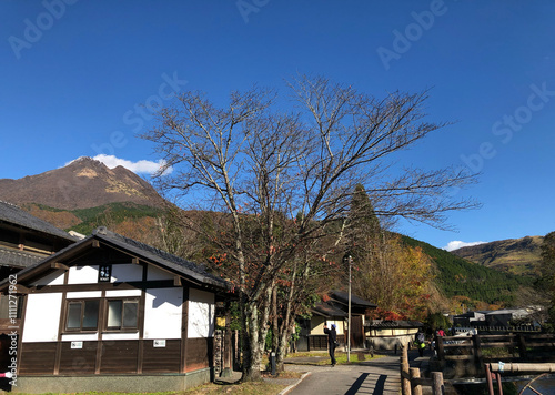 Japan autumn scenery Yufudake tourist attractions photo