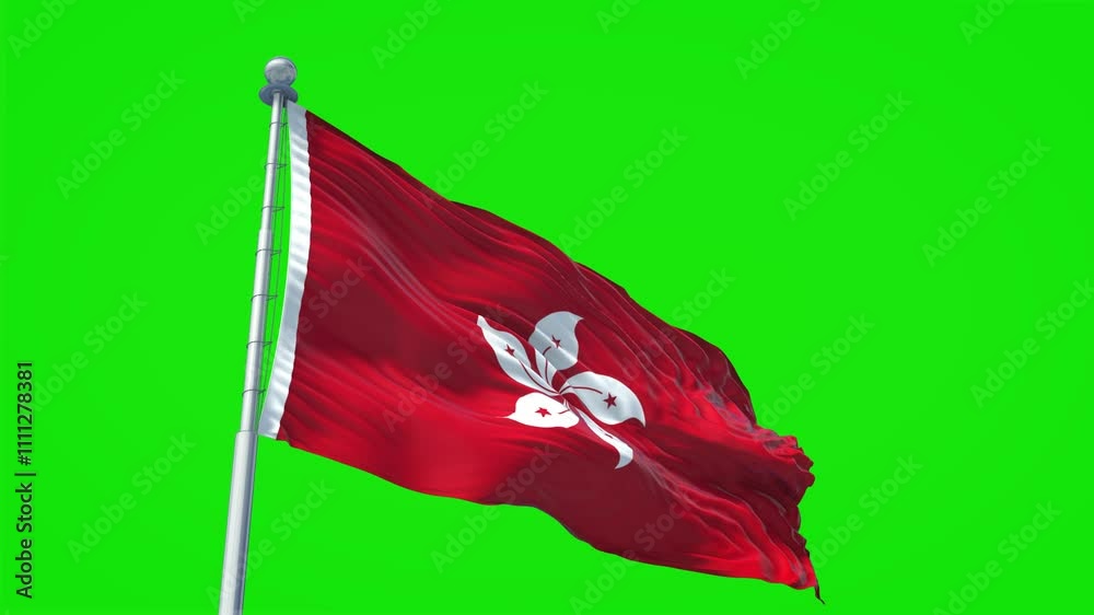 Green screen flag of Hong Kong