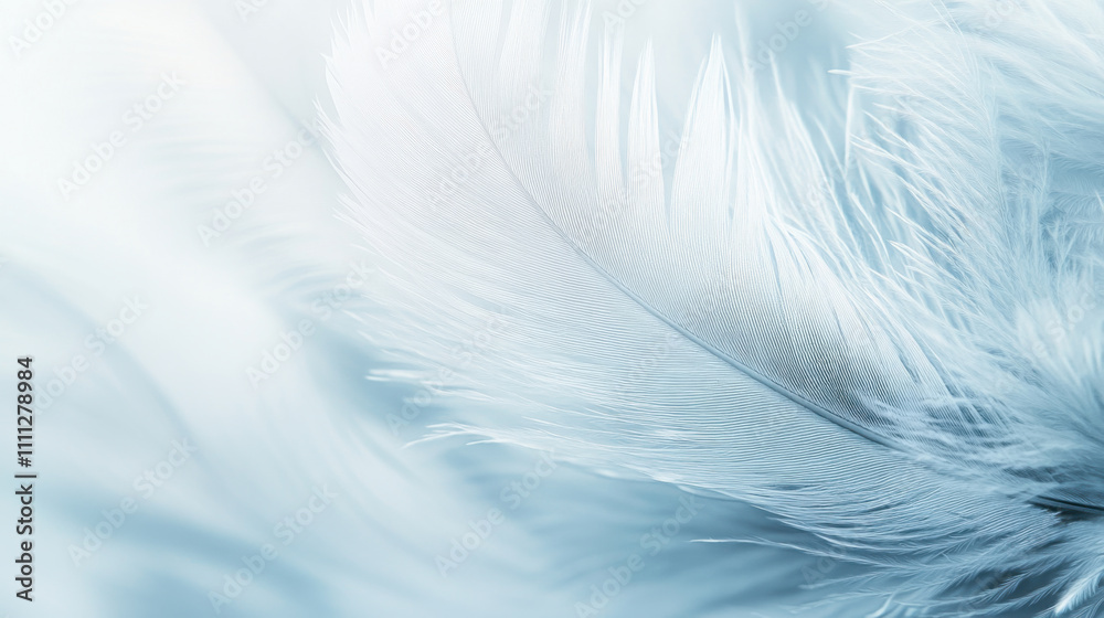 Tender feather in white color. Close up. Tender feather in white color. Close up.