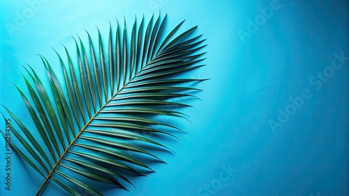 Tropical palm leaf silhouette isolated on abstract blue background, tropical, palm leaf, silhouette, abstract, blue