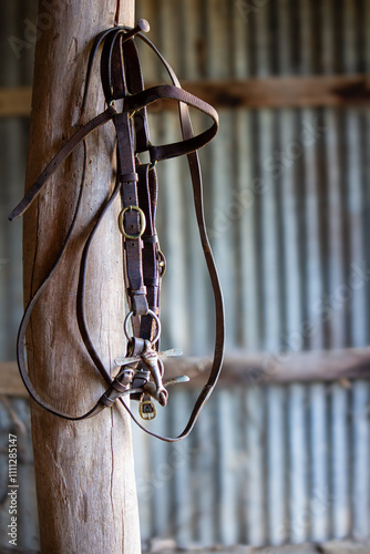 Obraz na plátně Old horse bridle