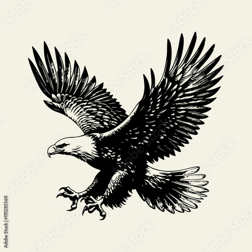 eagle vector illustration