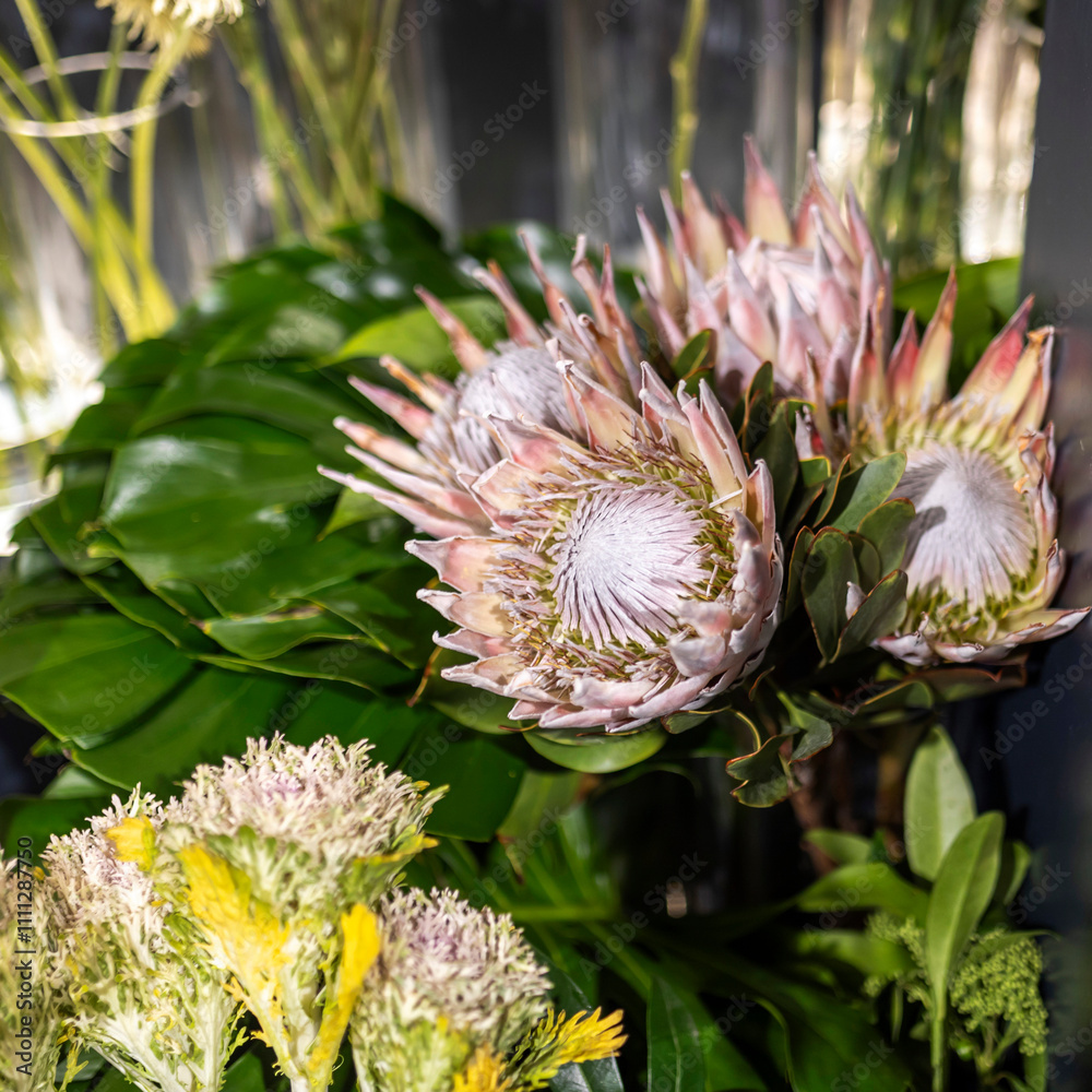 A wedding bouquet of Protea cynaroides and monstera leaves decorates the interior for various occasions. A wedding bouquet of Protea cynaroides and monstera leaves decorates the interior for various occasions.
