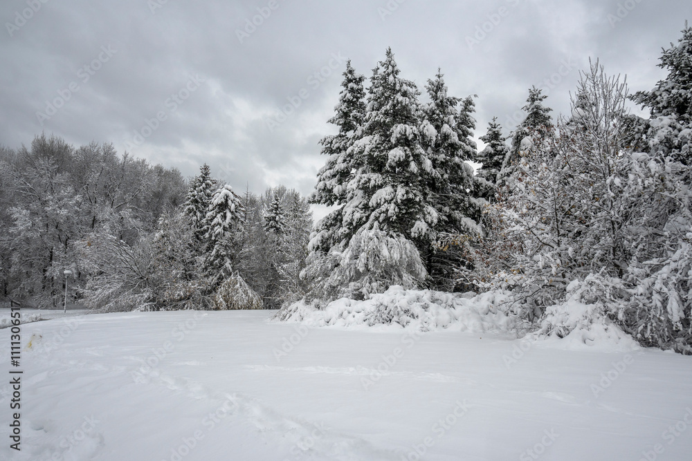 Naklejka premium Winter Landscape of South Park in city of Sofia, Bulgaria