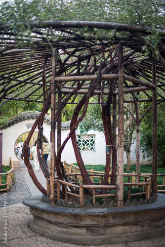 Chinese style plant in Zhuozhenyuan garden
