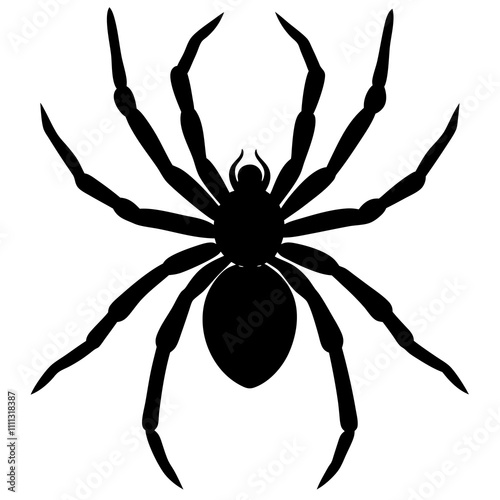 spider on a white background