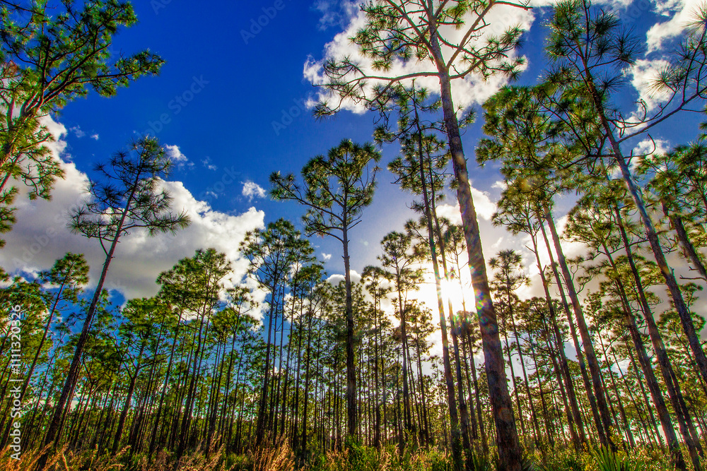 Oxbow Eco-Center and Preserve, Port St. Lucie, Florida Oxbow Eco-Center and Preserve, Port St. Lucie, Florida