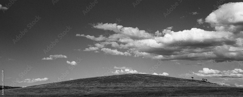 Fototapeta premium 9/15/22 HASTINGS MESA, COLORADO, USA - white puffy storm clouds hover over prairie grass