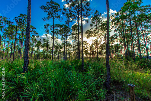 Oxbow Eco-Center and Preserve, Port St. Lucie, Florida