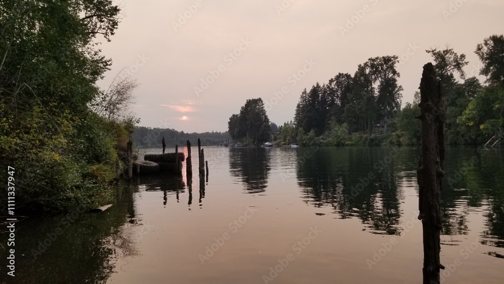 Fototapeta premium reflection of trees in the lake