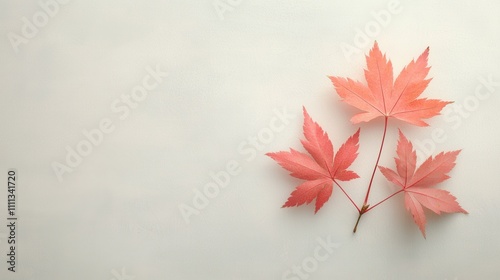 Captivating vibrant red japanese maple leaf detailing in nature close-up photography serene environment artistic perspective seasonal delight photo