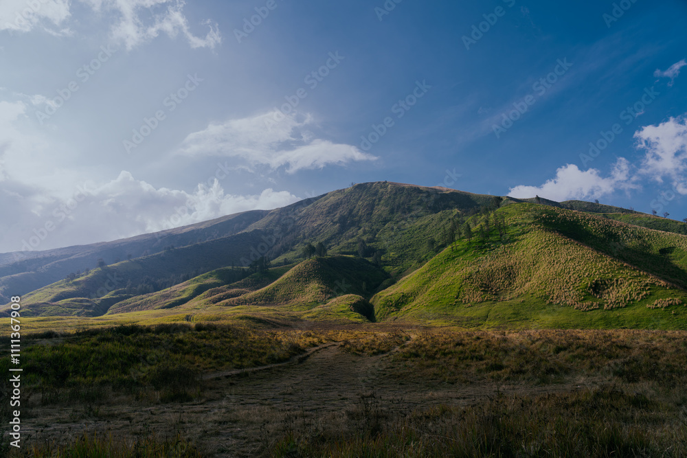 Mesmerizing landscape view of Savannah around Mount Bromo, East Java, Indonesia. Teletubbies hill at Bromo tengger semeru national park. Mesmerizing landscape view of Savannah around Mount Bromo, East Java, Indonesia. Teletubbies hill at Bromo tengger semeru national park.