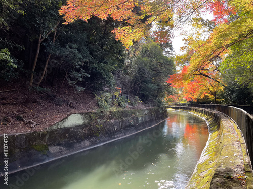 山科疏水の紅葉