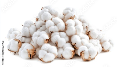 Soft White Cotton Balls, Fluffy Natural Fiber, Luxurious Textile, Eco-Friendly Material, Organic Plant, Botanical Beauty, Delicate Blooms, Nature's Gift, Pure White, Winter Wonderland