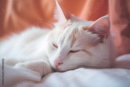 A cozy, sleeping white and orange cat on a soft, pink blanket, gentle lighting, relaxed and peaceful atmosphere, shallow depth of field, soft focus, warm tones
