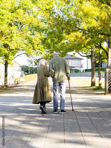 老老介護、夫婦、シニア、歩く、後ろ姿、介護、カップル、高齢、支える、寄り添う、サポート、支援、公園、自然、街、歩道、歩行者、福祉、ウェルネス、思いやり、助け合い、介助、杖、リハビリ、歩行、セカンドライフ、定年、年金、保険、終活、ライフスタイル、高齢者、お年寄り、老人、老後、年配、日本人、男性、女性、認認介護、背中、後ろ向き、住宅、暮らし、環境、公共、行政、ヘルパー、施設、人物 photo