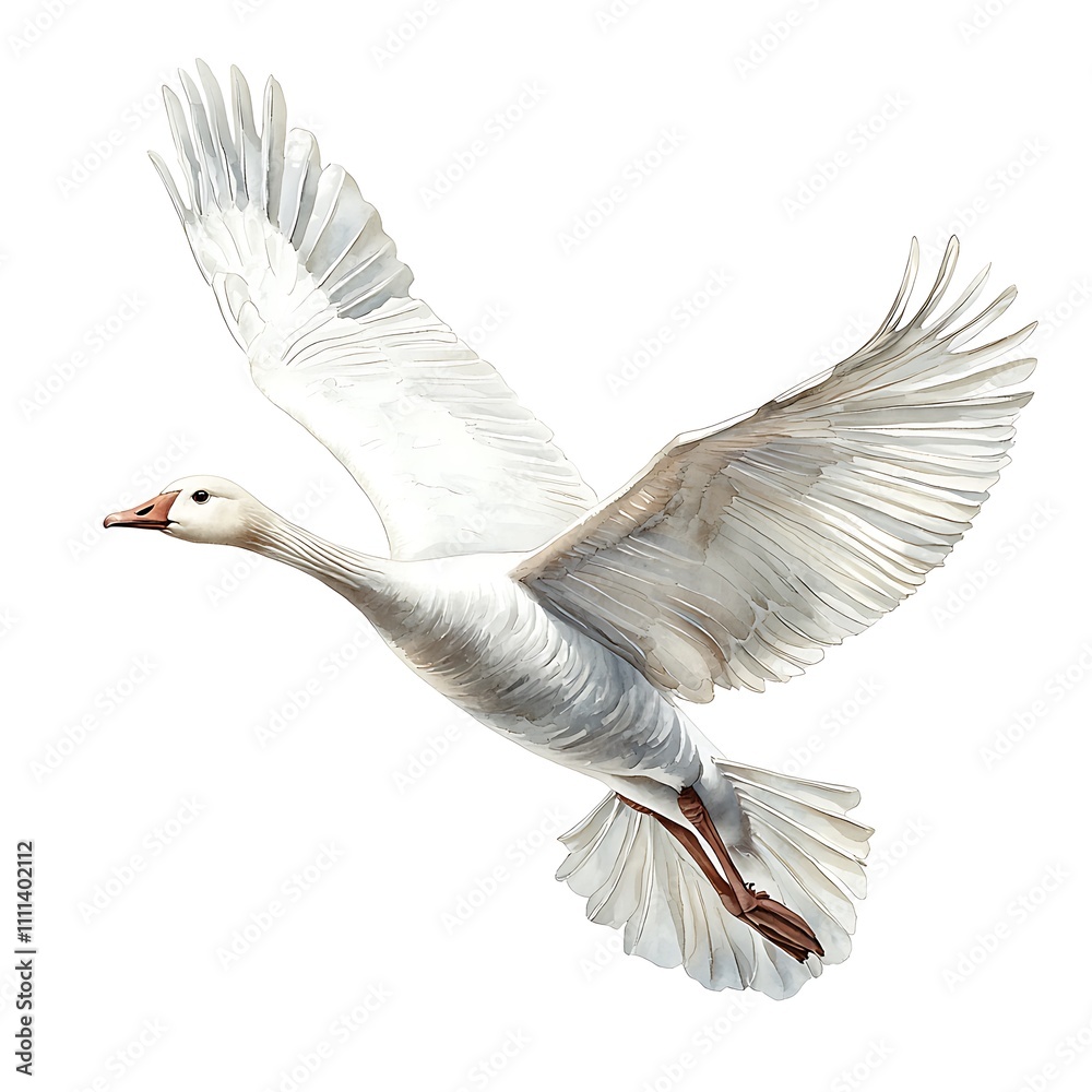 Obraz premium A Snow Goose in Flight, Watercolor-Style Illustration.