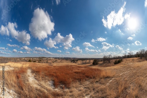 Expansive Panoramic View of Golden Grassland Under Bright Blue Sky with Fluffy White Clouds and Distant Hills in Natural Landscape Setting