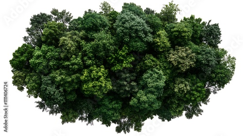 Aerial View of Lush Green Forest Canopy Isolated on White AI Generated