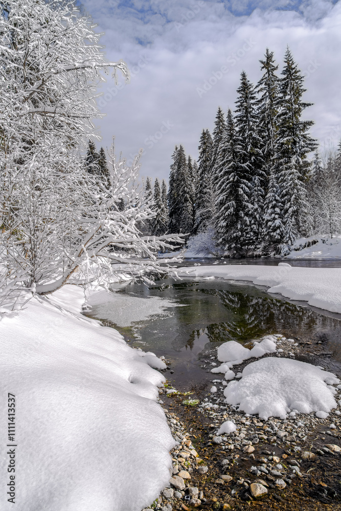 Beautiful winter landscape with mountain river and snow covered fir trees. Beautiful winter landscape with mountain river and snow covered fir trees.