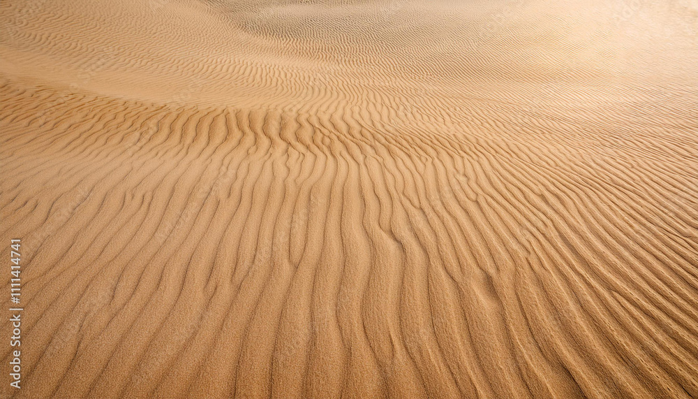 Smooth Background of Beige Beach Sand with Natural Texture